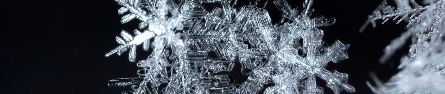 Snowflake,,Little,Snowflake,On,The,Snow